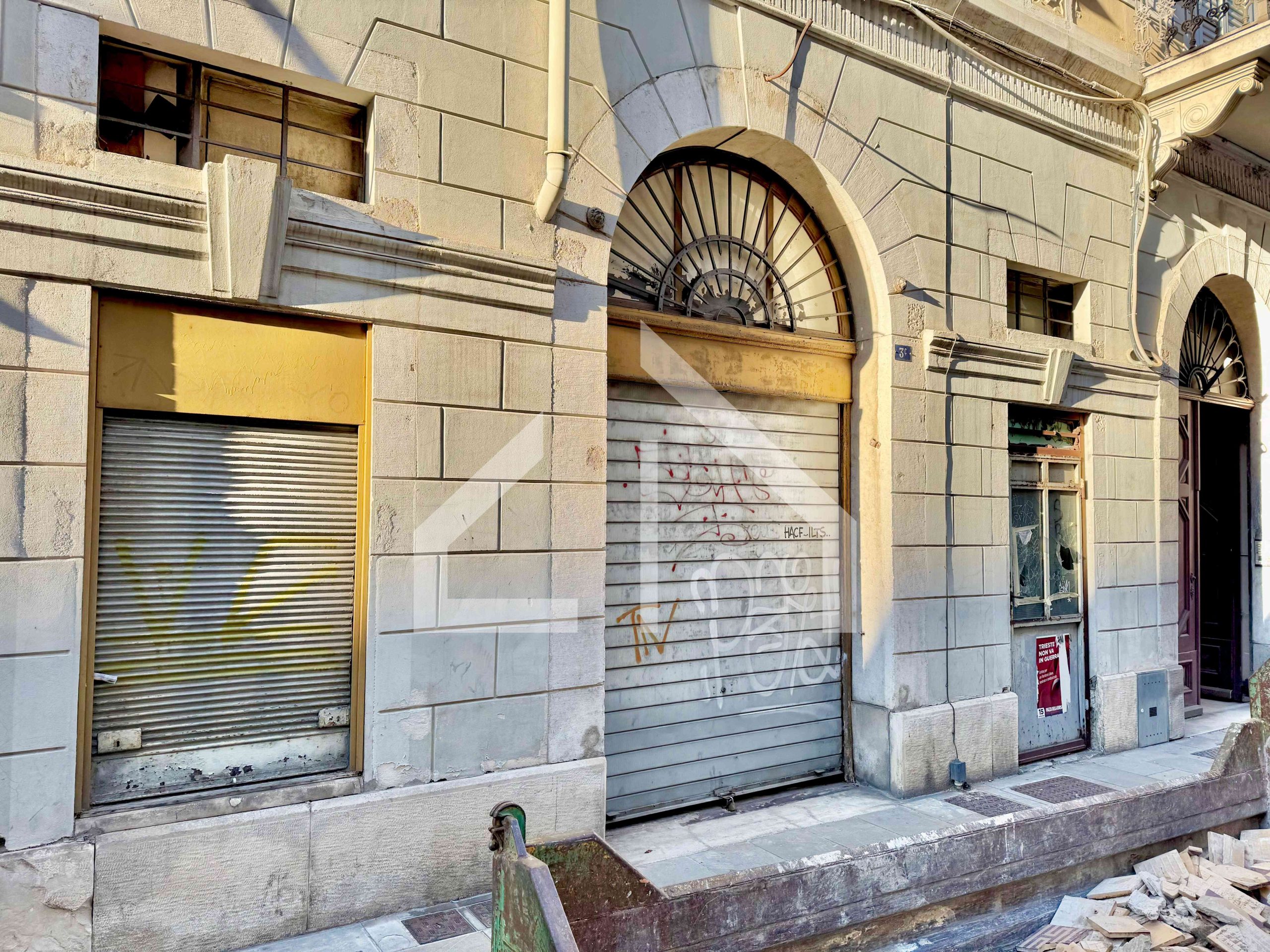 IMG_4517